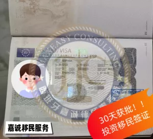 跨国企业