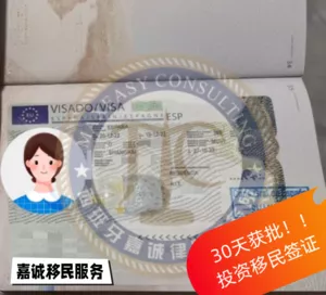 跨国企业