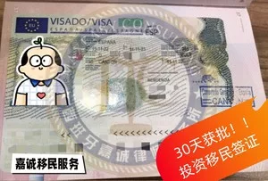 跨国企业